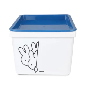 Nayasa Lego Print Stack N Store 5 Litres Multipurpose Storage Container with Lid - Set of 2